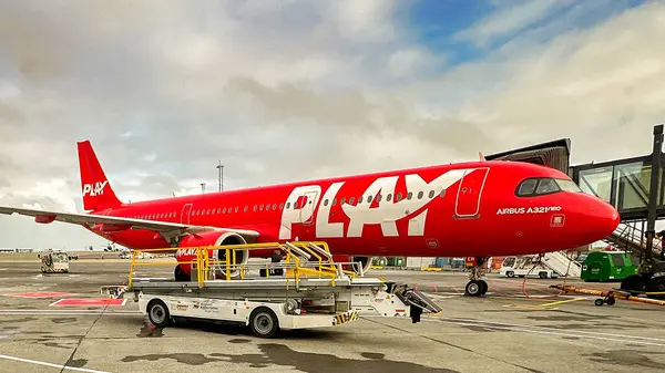 How To Load And Unload Cargos & Baggages On Airplane