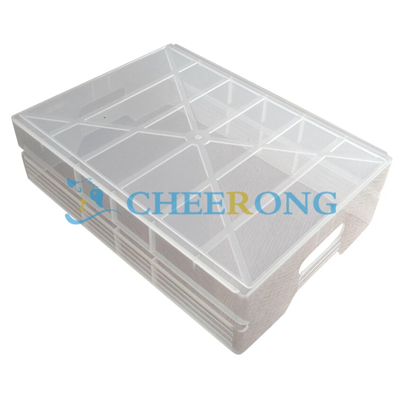 Cheerong Array image48